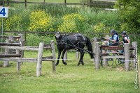 045D108- MARATHON -ATTELAGE LOUVRES - MARATHON - 28052017-ATE 2436 : 2017, 28 mAI 2017, Concours ATTELAGE 2017, D108, MARATHON, Obstacle 4