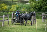 047D108- MARATHON -ATTELAGE LOUVRES - MARATHON - 28052017-ATE 2438 : 2017, 28 mAI 2017, Concours ATTELAGE 2017, D108, MARATHON, Obstacle 4