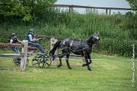 048D108- MARATHON -ATTELAGE LOUVRES - MARATHON - 28052017-ATE 2439 : 2017, 28 mAI 2017, Concours ATTELAGE 2017, D108, MARATHON, Obstacle 4