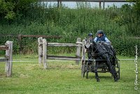 049D108- MARATHON -ATTELAGE LOUVRES - MARATHON - 28052017-ATE 2440 : 2017, 28 mAI 2017, Concours ATTELAGE 2017, D108, MARATHON, Obstacle 4