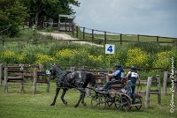 050D108- MARATHON -ATTELAGE LOUVRES - MARATHON - 28052017-ATE 2441 : 2017, 28 mAI 2017, Concours ATTELAGE 2017, D108, MARATHON, Obstacle 4