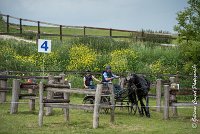 052D108- MARATHON -ATTELAGE LOUVRES - MARATHON - 28052017-ATE 2443 : 2017, 28 mAI 2017, Concours ATTELAGE 2017, D108, MARATHON, Obstacle 4