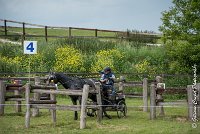 053D108- MARATHON -ATTELAGE LOUVRES - MARATHON - 28052017-ATE 2444 : 2017, 28 mAI 2017, Concours ATTELAGE 2017, D108, MARATHON, Obstacle 4