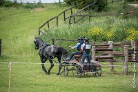 054D108- MARATHON -ATTELAGE LOUVRES - MARATHON - 28052017-ATE 2445 : 2017, 28 mAI 2017, Concours ATTELAGE 2017, D108, MARATHON, Obstacle 4