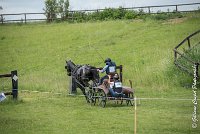 055D108- MARATHON -ATTELAGE LOUVRES - MARATHON - 28052017-ATE 2446 : 2017, 28 mAI 2017, Concours ATTELAGE 2017, D108, MARATHON, Obstacle 4