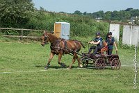 002D109- MARATHON -ATTELAGE LOUVRES - MARATHON - 28052017-ATE 1922 : 2017, 28 mAI 2017, Concours ATTELAGE 2017, D109, MARATHON, Obstacle 3