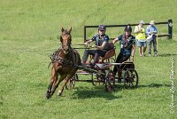 003D109- MARATHON -ATTELAGE LOUVRES - MARATHON - 28052017-ATE 1923 : 2017, 28 mAI 2017, Concours ATTELAGE 2017, D109, MARATHON, Obstacle 3