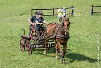 004D109- MARATHON -ATTELAGE LOUVRES - MARATHON - 28052017-ATE 1924 : 2017, 28 mAI 2017, Concours ATTELAGE 2017, D109, MARATHON, Obstacle 3