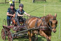 006D109- MARATHON -ATTELAGE LOUVRES - MARATHON - 28052017-ATE 1926 : 2017, 28 mAI 2017, Concours ATTELAGE 2017, D109, MARATHON, Obstacle 3