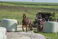 010D109- MARATHON -ATTELAGE LOUVRES - MARATHON - 28052017-ATE 1930 : 2017, 28 mAI 2017, Concours ATTELAGE 2017, D109, MARATHON, Obstacle 3