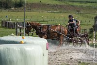 012D109- MARATHON -ATTELAGE LOUVRES - MARATHON - 28052017-ATE 1932 : 2017, 28 mAI 2017, Concours ATTELAGE 2017, D109, MARATHON, Obstacle 3