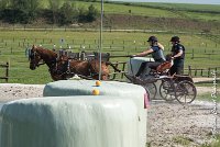 013D109- MARATHON -ATTELAGE LOUVRES - MARATHON - 28052017-ATE 1933 : 2017, 28 mAI 2017, Concours ATTELAGE 2017, D109, MARATHON, Obstacle 3