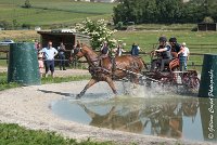 016D109- MARATHON -ATTELAGE LOUVRES - MARATHON - 28052017-ATE 1937 : 2017, 28 mAI 2017, Concours ATTELAGE 2017, D109, MARATHON, Obstacle 3