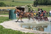 017D109- MARATHON -ATTELAGE LOUVRES - MARATHON - 28052017-ATE 1938 : 2017, 28 mAI 2017, Concours ATTELAGE 2017, D109, MARATHON, Obstacle 3