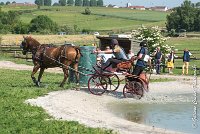 018D109- MARATHON -ATTELAGE LOUVRES - MARATHON - 28052017-ATE 1939 : 2017, 28 mAI 2017, Concours ATTELAGE 2017, D109, MARATHON, Obstacle 3