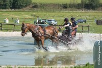 023D109- MARATHON -ATTELAGE LOUVRES - MARATHON - 28052017-ATE 1943 : 2017, 28 mAI 2017, Concours ATTELAGE 2017, D109, MARATHON, Obstacle 3