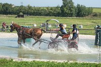 024D109- MARATHON -ATTELAGE LOUVRES - MARATHON - 28052017-ATE 1945 : 2017, 28 mAI 2017, Concours ATTELAGE 2017, D109, MARATHON, Obstacle 3