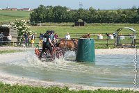 025D109- MARATHON -ATTELAGE LOUVRES - MARATHON - 28052017-ATE 1946 : 2017, 28 mAI 2017, Concours ATTELAGE 2017, D109, MARATHON, Obstacle 3