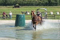 027D109- MARATHON -ATTELAGE LOUVRES - MARATHON - 28052017-ATE 1948 : 2017, 28 mAI 2017, Concours ATTELAGE 2017, D109, MARATHON, Obstacle 3