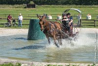 028D109- MARATHON -ATTELAGE LOUVRES - MARATHON - 28052017-ATE 1949 : 2017, 28 mAI 2017, Concours ATTELAGE 2017, D109, MARATHON, Obstacle 3