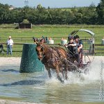 029D109- MARATHON -ATTELAGE LOUVRES - MARATHON - 28052017-ATE 1949 : 2017, 28 mAI 2017, Concours ATTELAGE 2017, D109, MARATHON, Obstacle 3, VIGNETTE