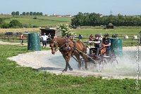 030D109- MARATHON -ATTELAGE LOUVRES - MARATHON - 28052017-ATE 1950 : 2017, 28 mAI 2017, Concours ATTELAGE 2017, D109, MARATHON, Obstacle 3