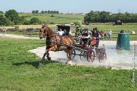 031D109- MARATHON -ATTELAGE LOUVRES - MARATHON - 28052017-ATE 1951 : 2017, 28 mAI 2017, Concours ATTELAGE 2017, D109, MARATHON, Obstacle 3