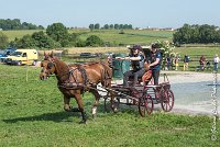 032D109- MARATHON -ATTELAGE LOUVRES - MARATHON - 28052017-ATE 1952 : 2017, 28 mAI 2017, Concours ATTELAGE 2017, D109, MARATHON, Obstacle 3