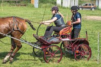 034D109- MARATHON -ATTELAGE LOUVRES - MARATHON - 28052017-ATE 1954 : 2017, 28 mAI 2017, Concours ATTELAGE 2017, D109, MARATHON, Obstacle 3