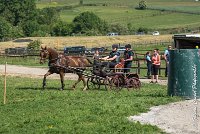 035 D109-ATTELAGE LOUVRES - MARATHON - 28052017-ATE 1971 : 2017, 28 mAI 2017, Concours ATTELAGE 2017, D109, MARATHON