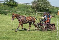 036 D109-ATTELAGE LOUVRES - MARATHON - 28052017-ATE 1973 : 2017, 28 mAI 2017, Concours ATTELAGE 2017, D109, MARATHON, Obstacle 4