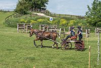 037 D109-ATTELAGE LOUVRES - MARATHON - 28052017-ATE 1974 : 2017, 28 mAI 2017, Concours ATTELAGE 2017, D109, MARATHON, Obstacle 4