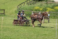 038 D109-ATTELAGE LOUVRES - MARATHON - 28052017-ATE 1977 : 2017, 28 mAI 2017, Concours ATTELAGE 2017, D109, MARATHON, Obstacle 4