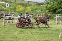 039 D109-ATTELAGE LOUVRES - MARATHON - 28052017-ATE 1978 : 2017, 28 mAI 2017, Concours ATTELAGE 2017, D109, MARATHON, Obstacle 4