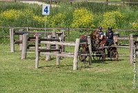 040 D109-ATTELAGE LOUVRES - MARATHON - 28052017-ATE 1980 : 2017, 28 mAI 2017, Concours ATTELAGE 2017, D109, MARATHON, Obstacle 4