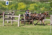 041 D109-ATTELAGE LOUVRES - MARATHON - 28052017-ATE 1981 : 2017, 28 mAI 2017, Concours ATTELAGE 2017, D109, MARATHON, Obstacle 4