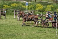 042 D109-ATTELAGE LOUVRES - MARATHON - 28052017-ATE 1985 : 2017, 28 mAI 2017, Concours ATTELAGE 2017, D109, MARATHON, Obstacle 4