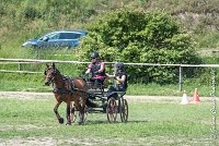 002 MANIABILITE - ATTELAGE - 27052017-ATE 1012 : 2017, 27 Mai 2017, Concours ATTELAGE 2017, D202, Maniabilité, P02