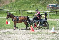 003 MANIABILITE - ATTELAGE - 27052017-ATE 1013 : 2017, 27 Mai 2017, Concours ATTELAGE 2017, D202, Maniabilité, P02