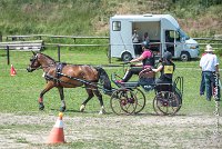 004 MANIABILITE - ATTELAGE - 27052017-ATE 1014 : 2017, 27 Mai 2017, Concours ATTELAGE 2017, D202, Maniabilité, P02