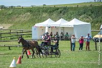 005 MANIABILITE - ATTELAGE - 27052017-ATE 1015 : 2017, 27 Mai 2017, Concours ATTELAGE 2017, D202, Maniabilité, P02