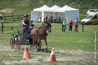 006 MANIABILITE - ATTELAGE - 27052017-ATE 1016 : 2017, 27 Mai 2017, Concours ATTELAGE 2017, D202, Maniabilité, P02