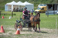 007 MANIABILITE - ATTELAGE - 27052017-ATE 1017 : 2017, 27 Mai 2017, Concours ATTELAGE 2017, D202, Maniabilité, P02