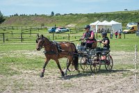 008 MANIABILITE - ATTELAGE - 27052017-ATE 1018 : 2017, 27 Mai 2017, Concours ATTELAGE 2017, D202, Maniabilité, P02