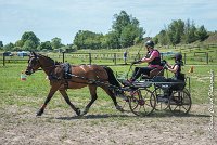 009 MANIABILITE - ATTELAGE - 27052017-ATE 1019 : 2017, 27 Mai 2017, Concours ATTELAGE 2017, D202, Maniabilité, P02