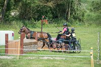 010 MANIABILITE - ATTELAGE - 27052017-ATE 1024 : 2017, 27 Mai 2017, Concours ATTELAGE 2017, D202, Maniabilité, P02