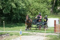 011 MANIABILITE - ATTELAGE - 27052017-ATE 1025 : 2017, 27 Mai 2017, Concours ATTELAGE 2017, D202, Maniabilité, P02