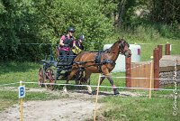 012 MANIABILITE - ATTELAGE - 27052017-ATE 1026 : 2017, 27 Mai 2017, Concours ATTELAGE 2017, D202, Maniabilité, P02