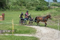 013 MANIABILITE - ATTELAGE - 27052017-ATE 1027 : 2017, 27 Mai 2017, Concours ATTELAGE 2017, D202, Maniabilité, P02