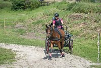 014 MANIABILITE - ATTELAGE - 27052017-ATE 1028 : 2017, 27 Mai 2017, Concours ATTELAGE 2017, D202, Maniabilité, P02